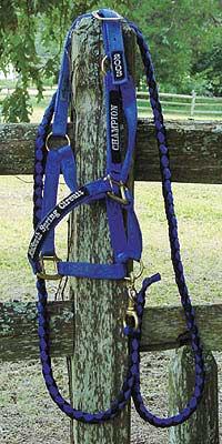 Braided Lopin' Leads